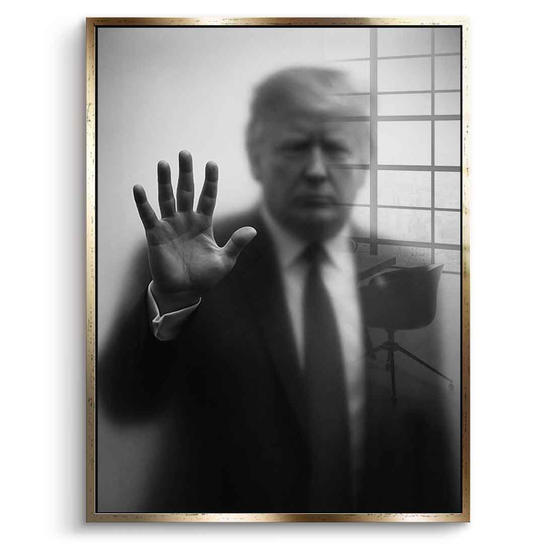 Trump's Silhouette - acrylic glass