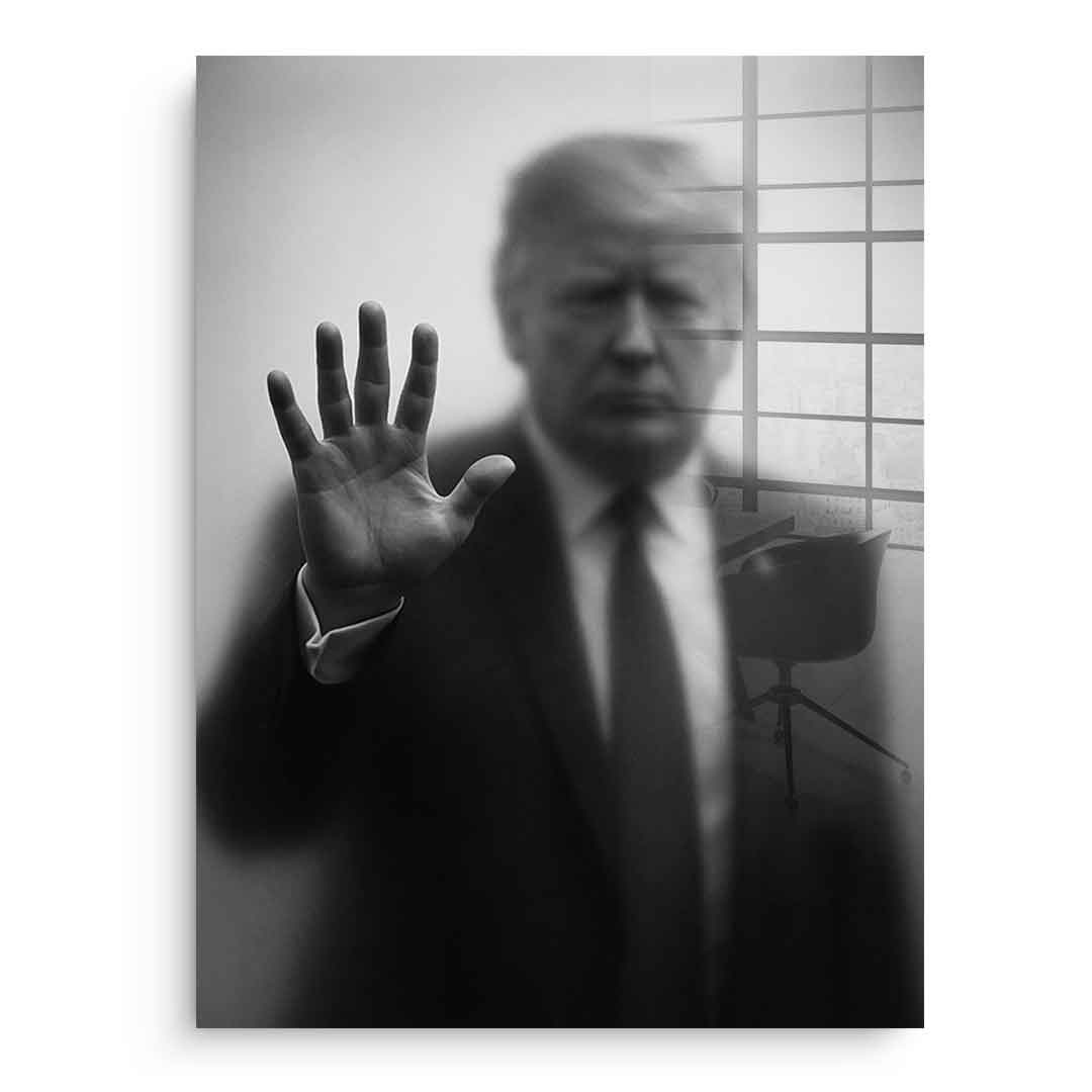 Trump's Silhouette - Acrylglas