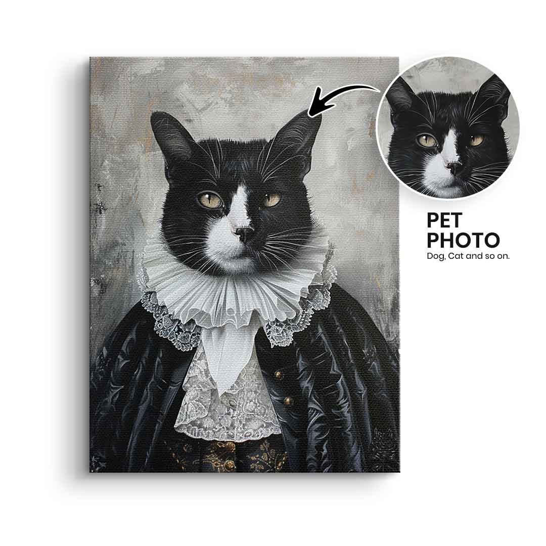 Renaissance 6 customizable