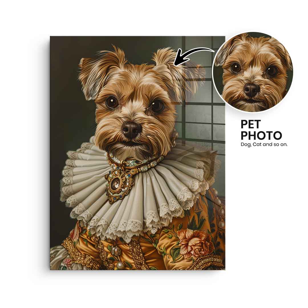 Renaissance 4 customizable - acrylic glass