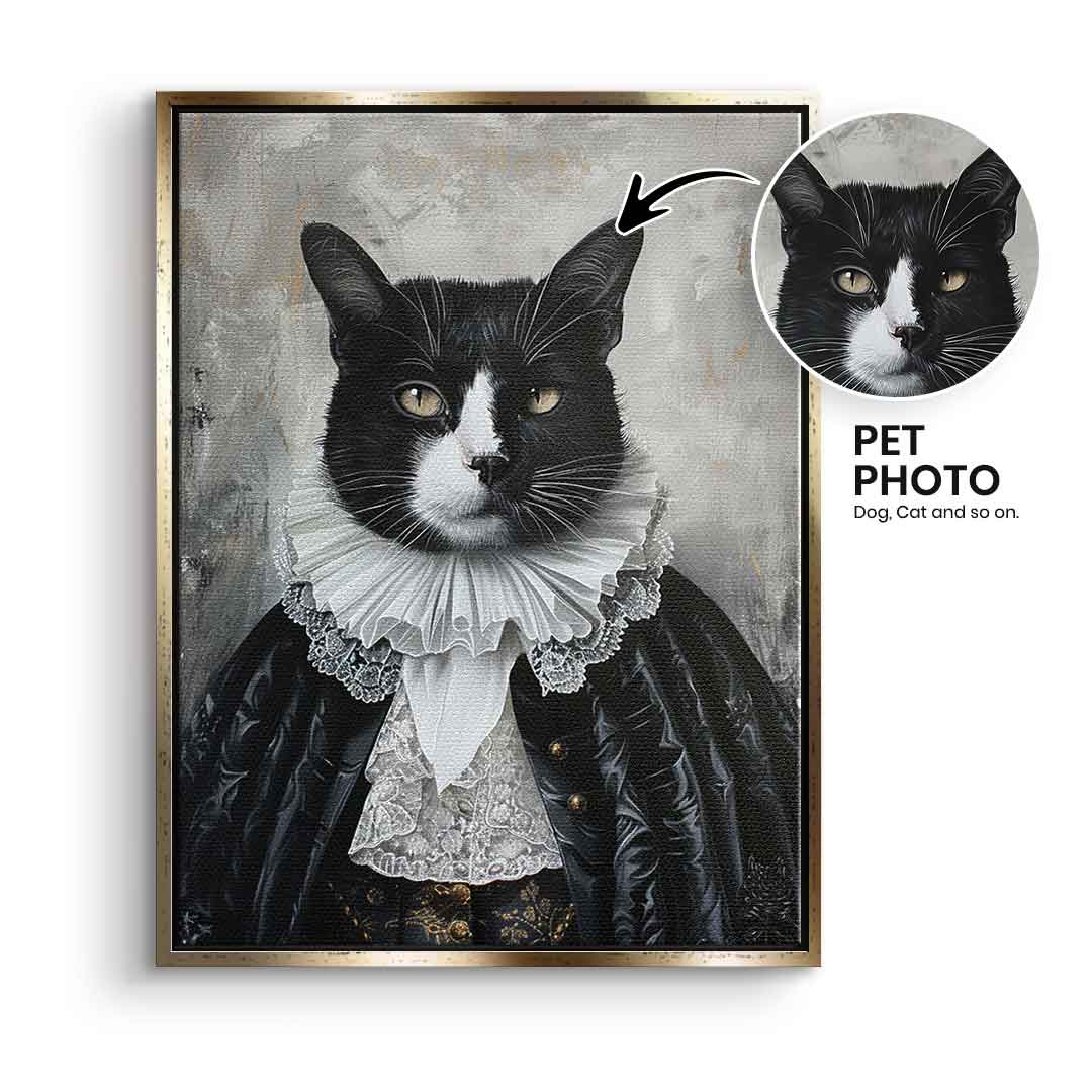 Renaissance 6 customizable