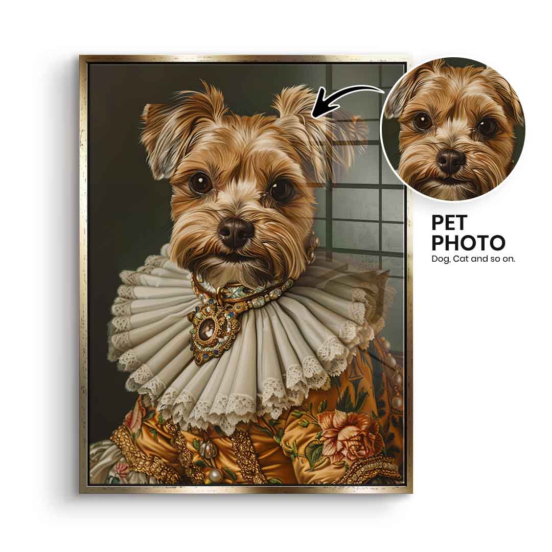 Renaissance 4 customizable - acrylic glass