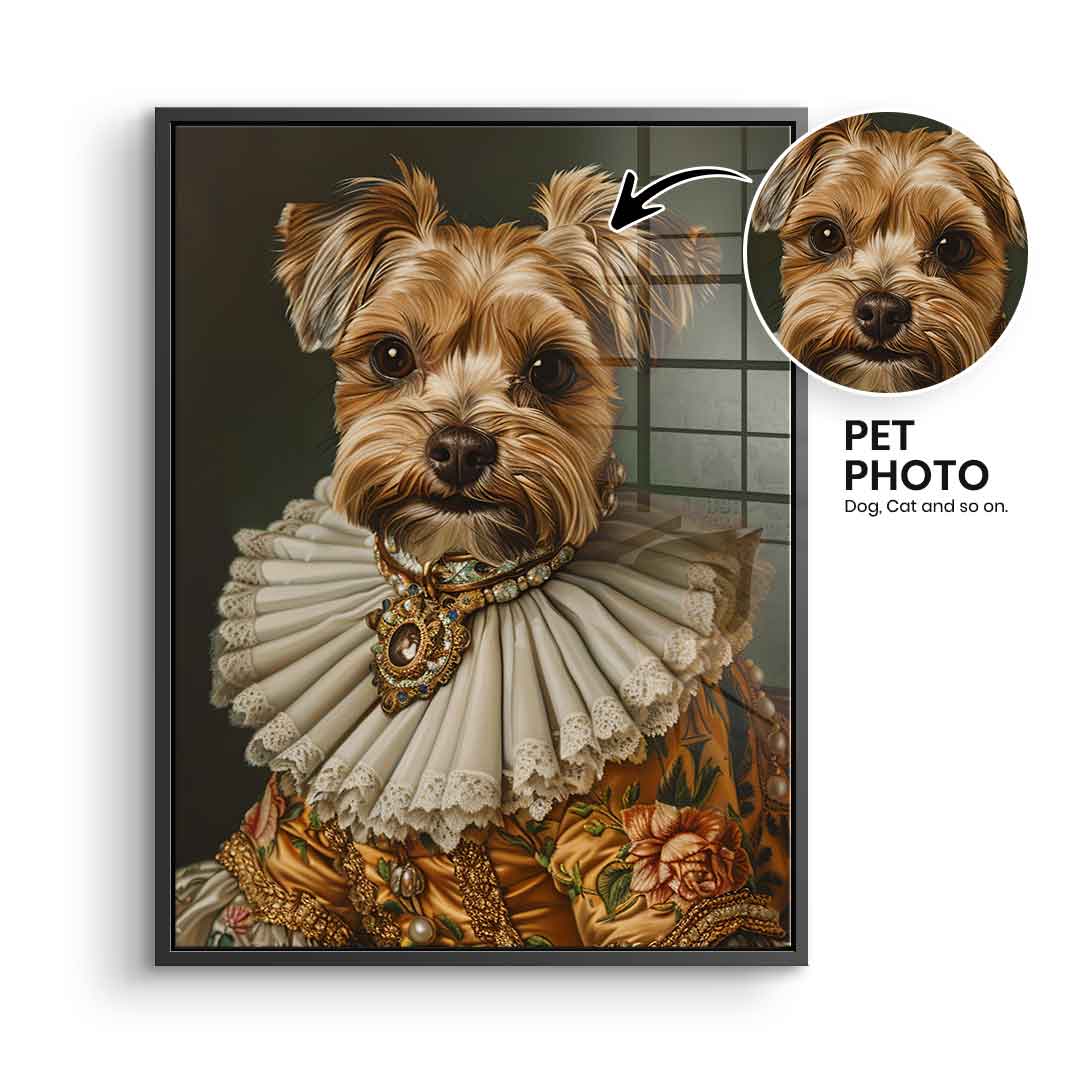 Renaissance 4 customizable - acrylic glass