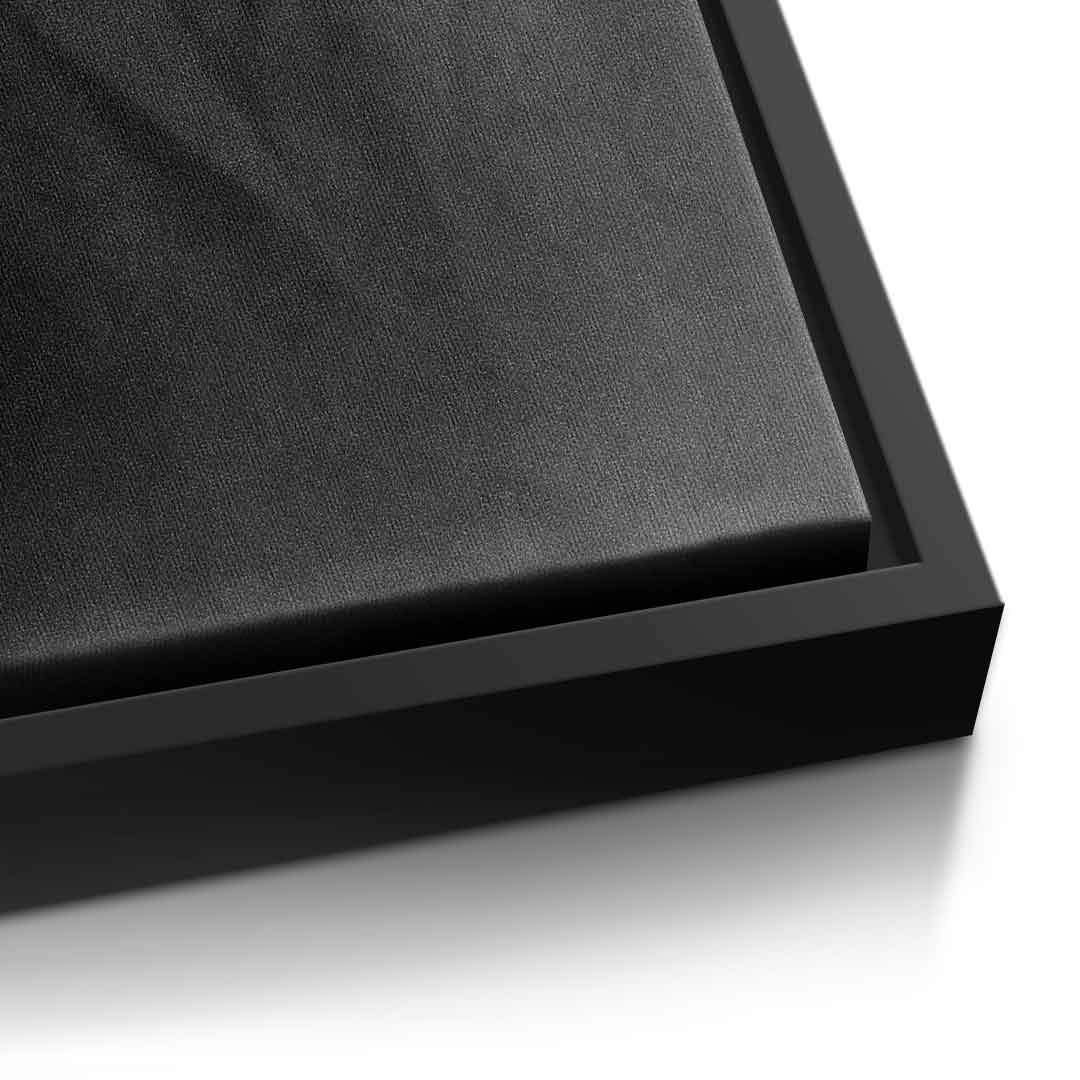 Einstein's silhouette