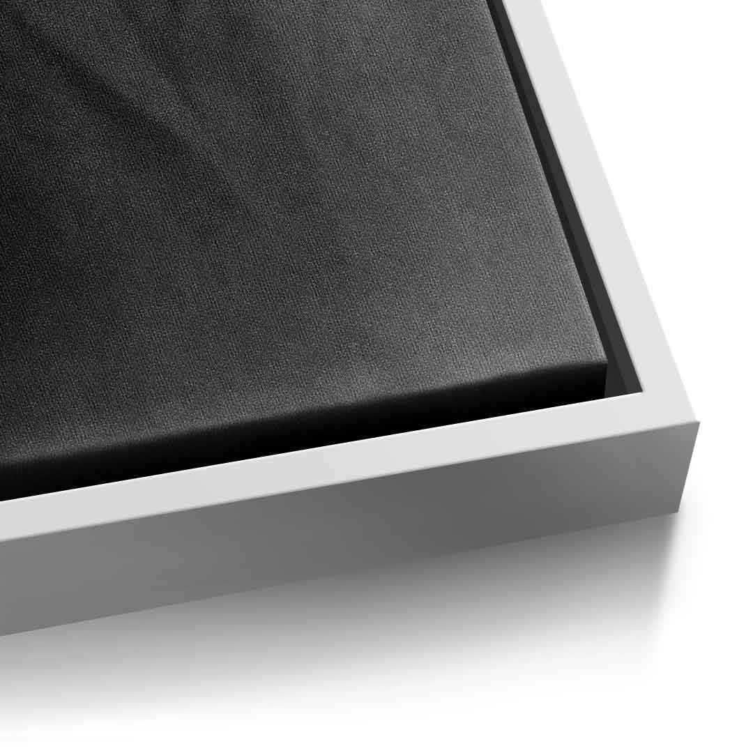 Einstein's silhouette