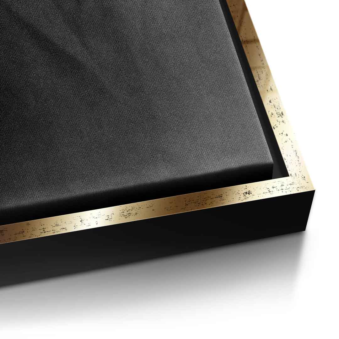 Einstein's silhouette