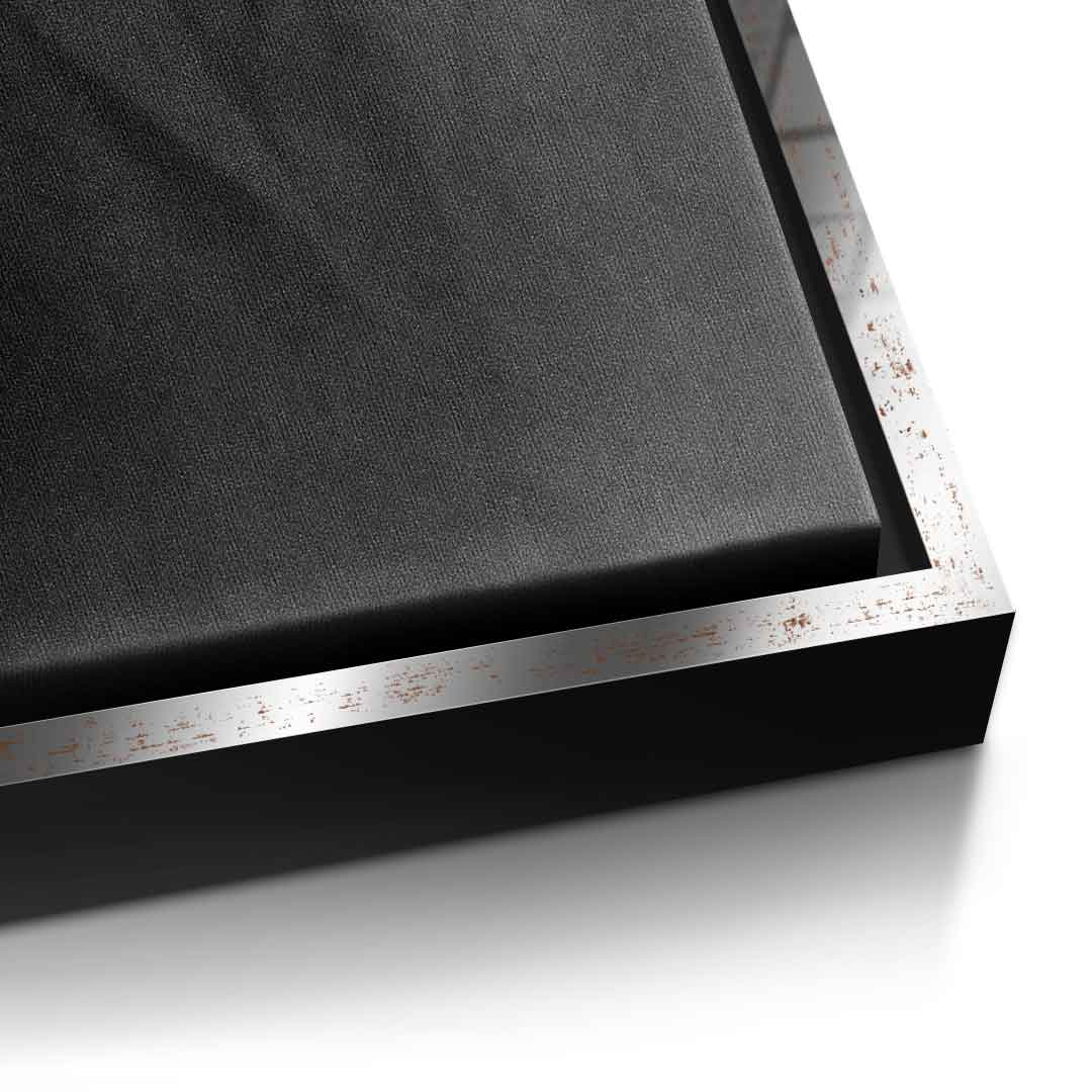 Einstein's silhouette