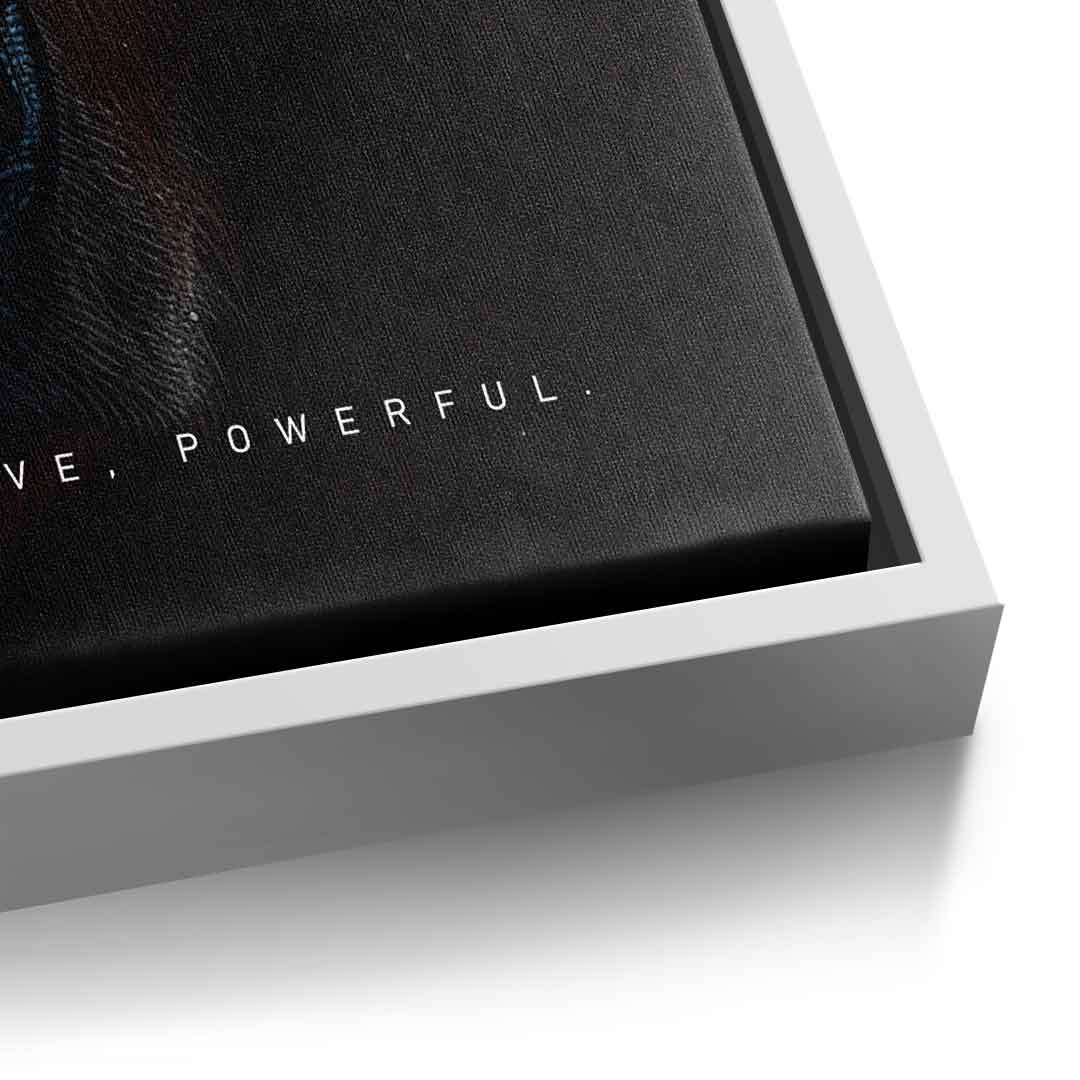 Bear Fusion - Quadrat Edition