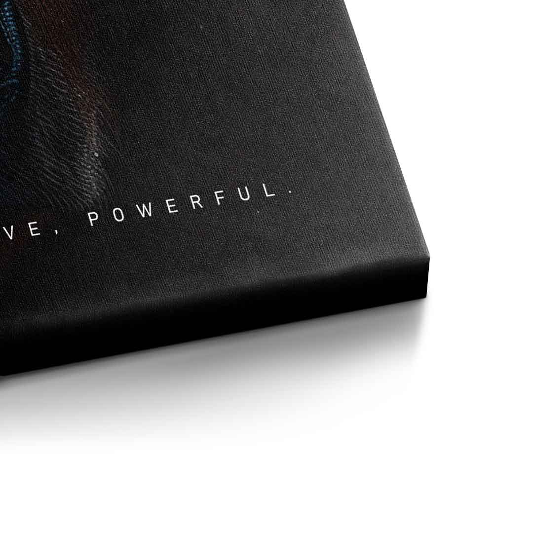 Bear Fusion - Quadrat Edition