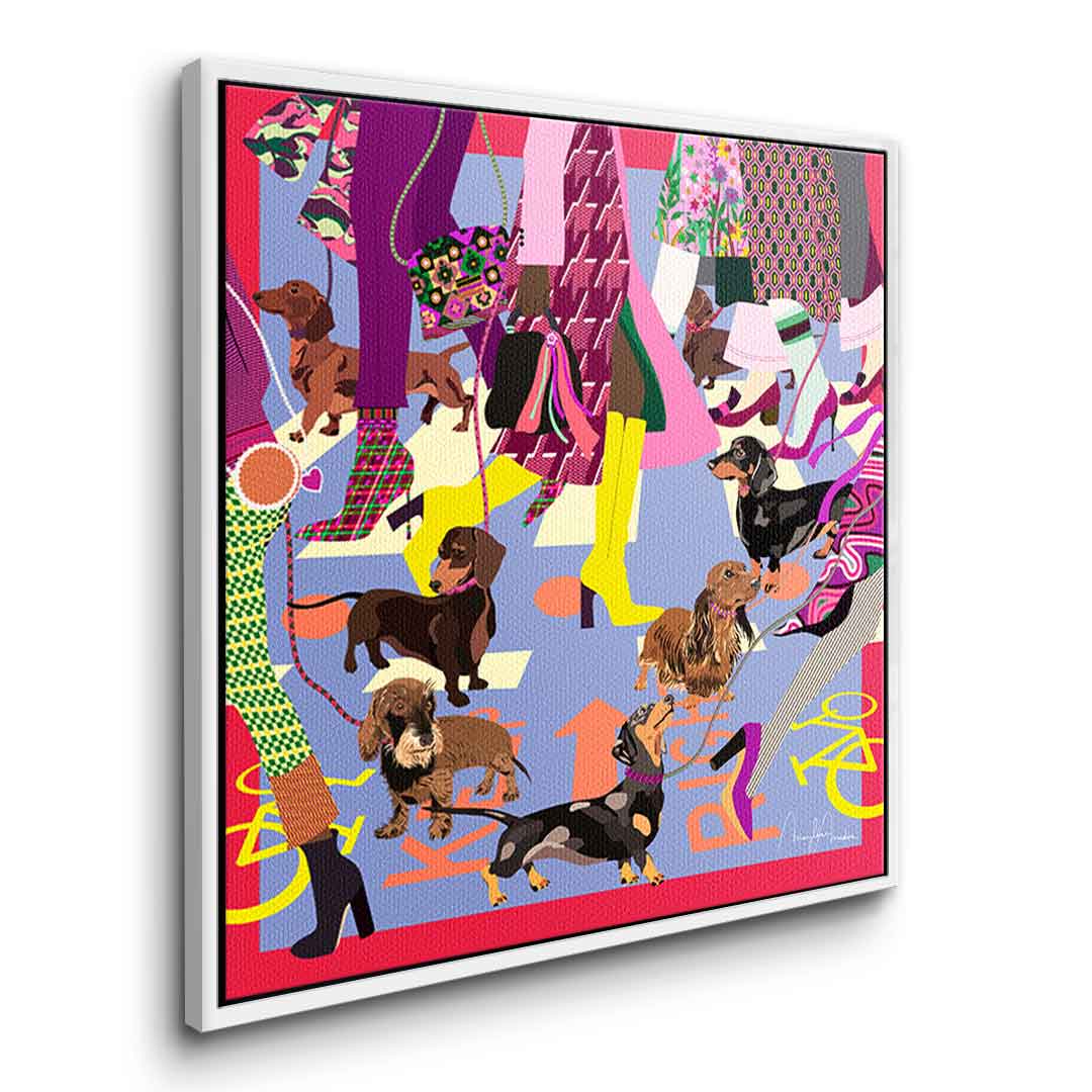 Fashion Girls Doxies