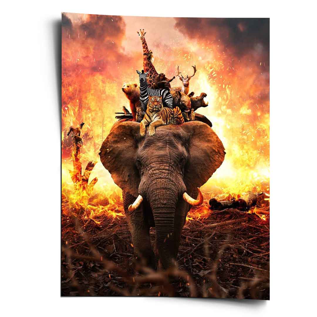 Hard Animal Life - Poster