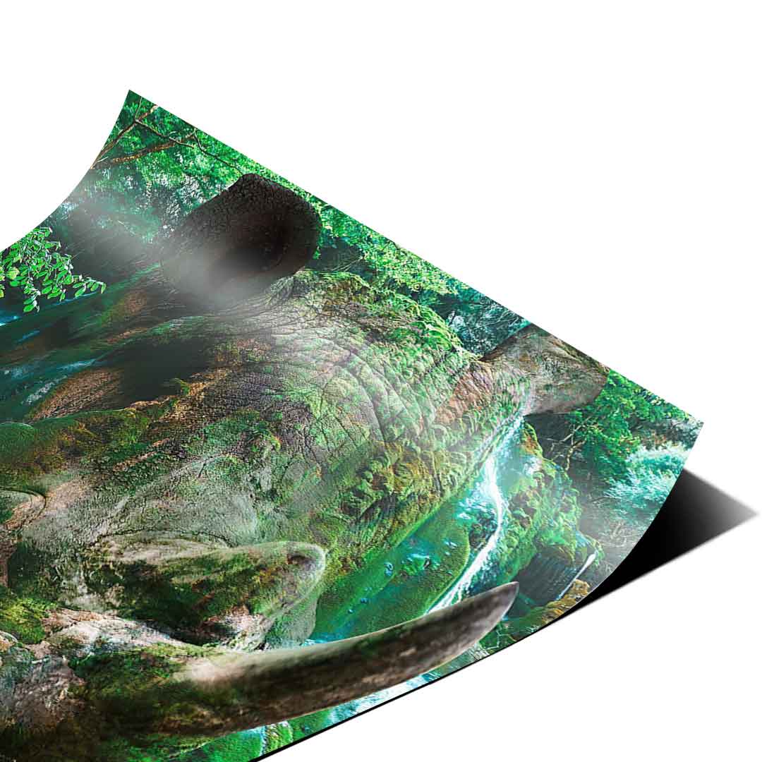 Nashorn Nature - Poster