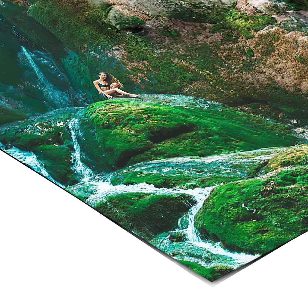 Nashorn Nature - Poster