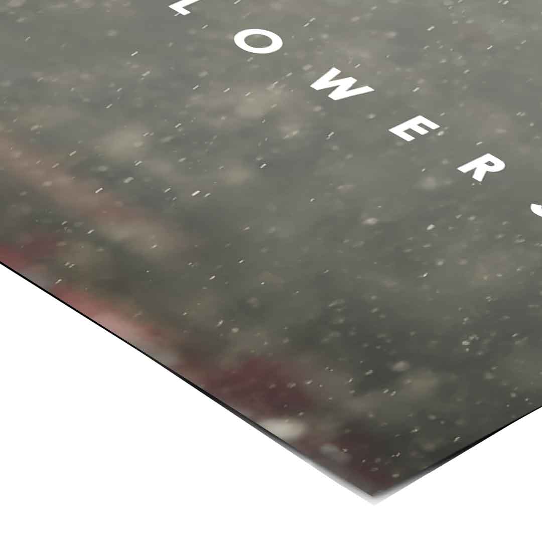 No Rain No Flowers - Poster