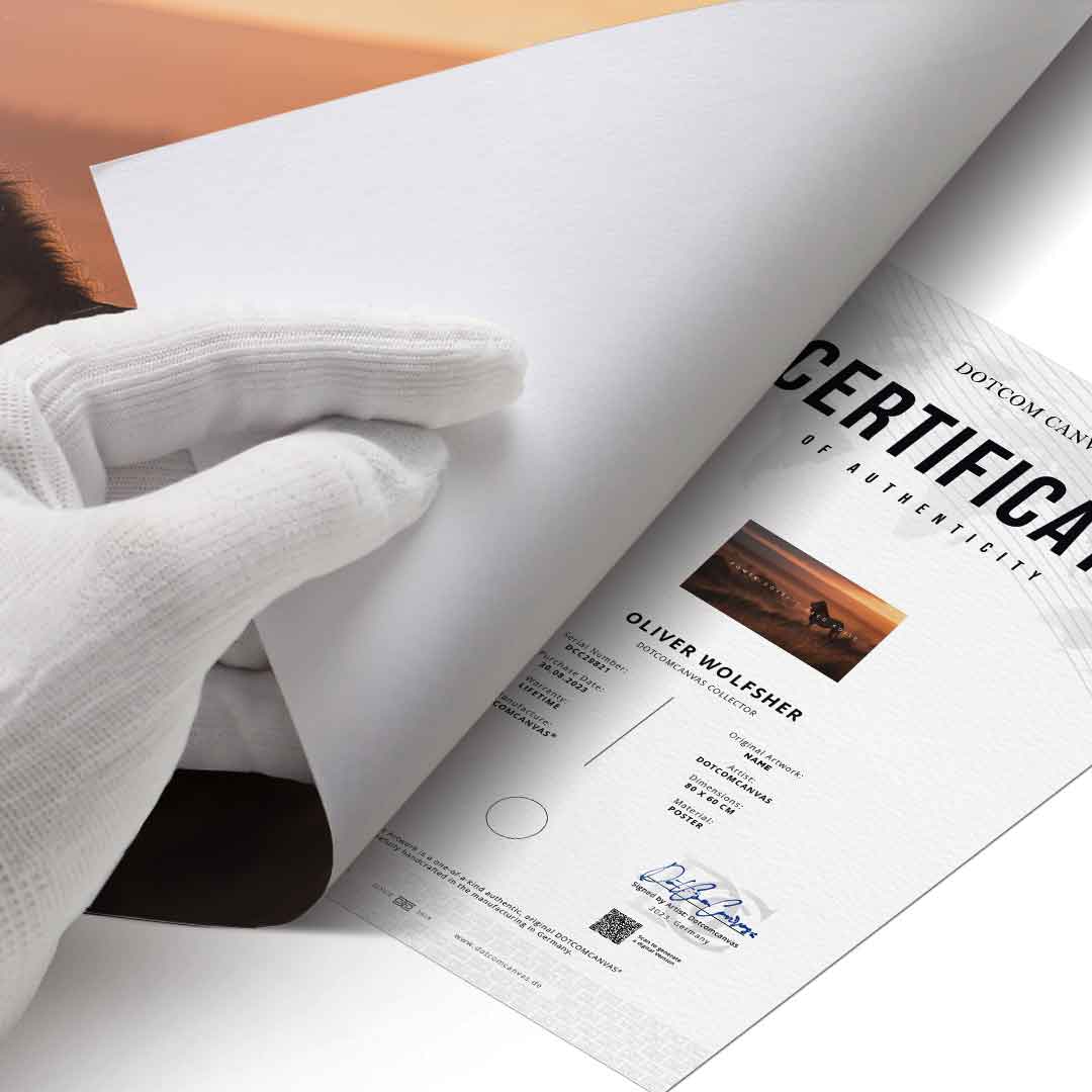 Power Doesn't Need Noise - Poster