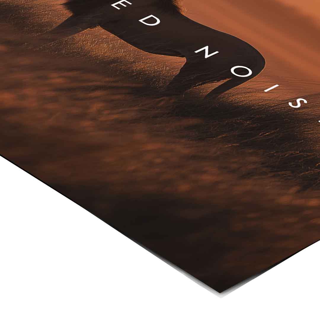 Power Doesn't Need Noise - Poster