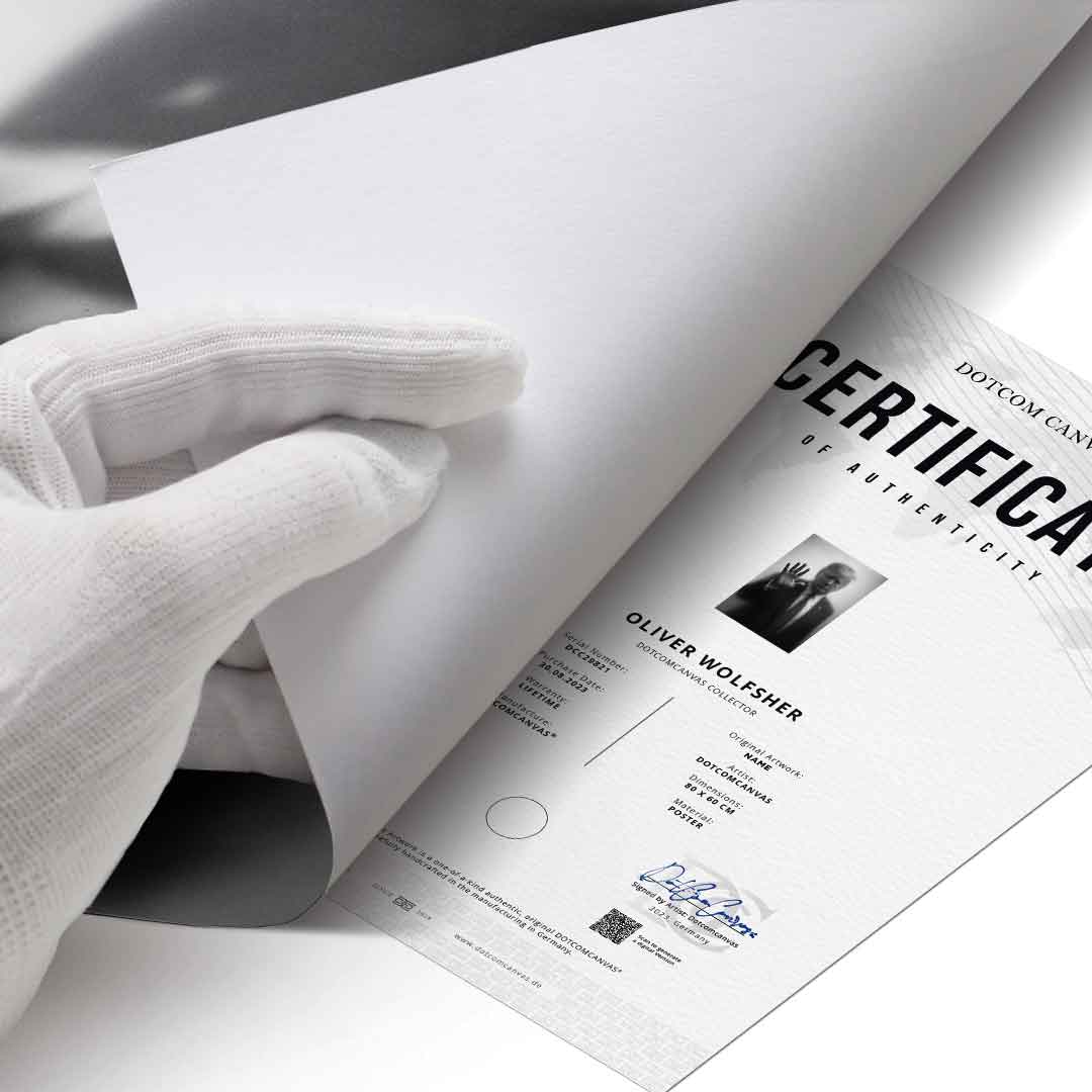 Trump's Silhouette - Poster