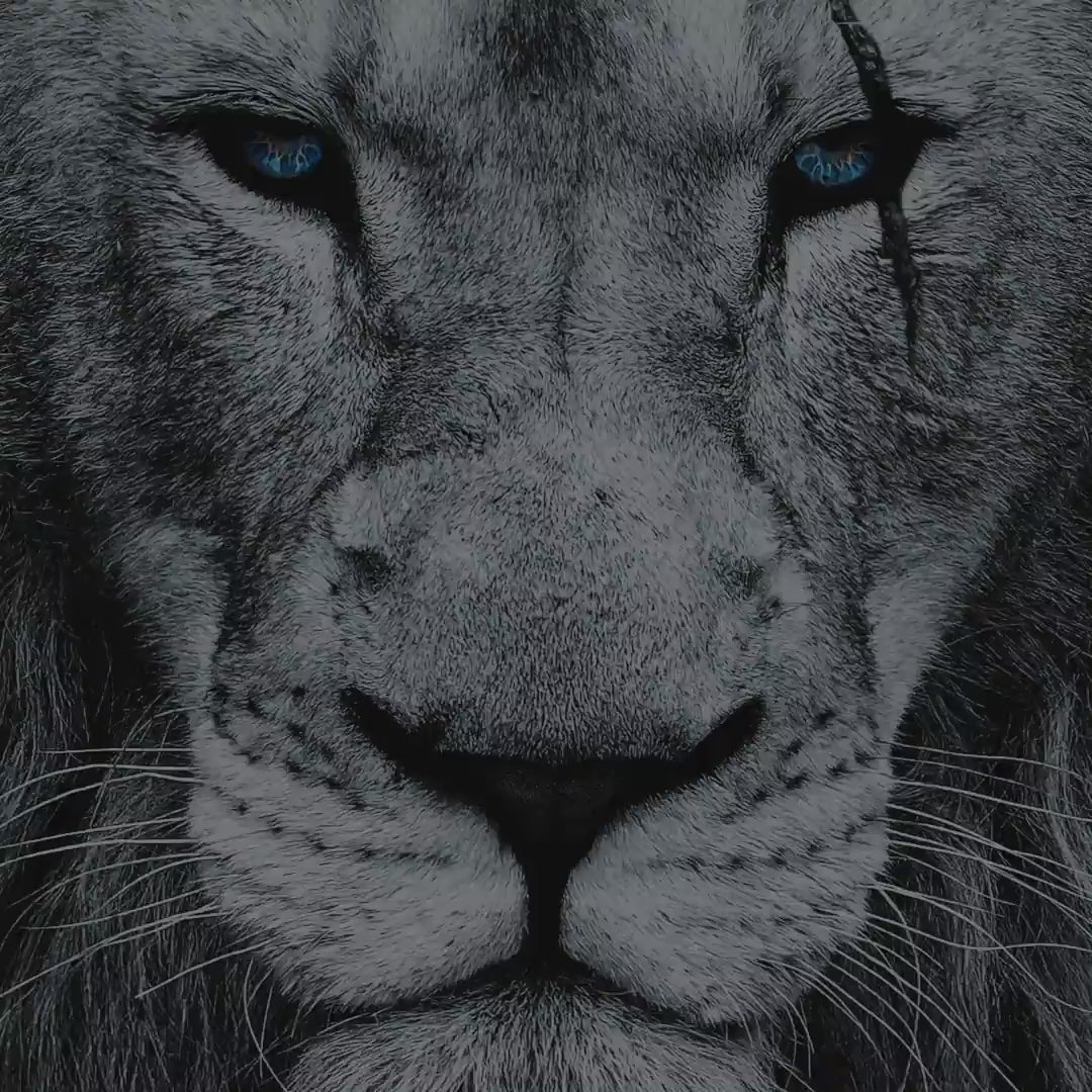 Video laden: Hungry Face