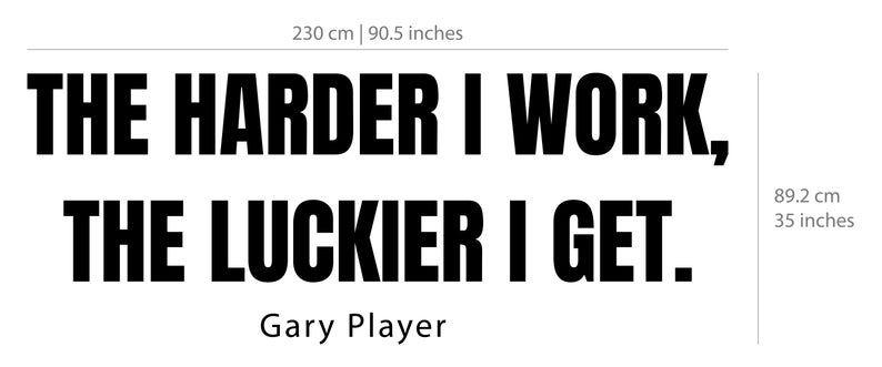 The harder i work the luckier you get